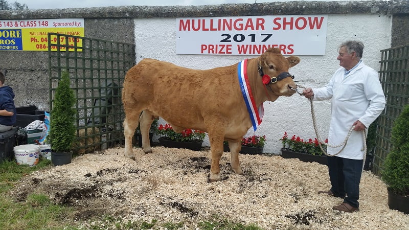 Mullingar Show 2017 Champion