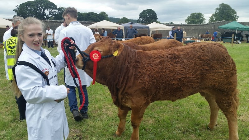 winner class 105